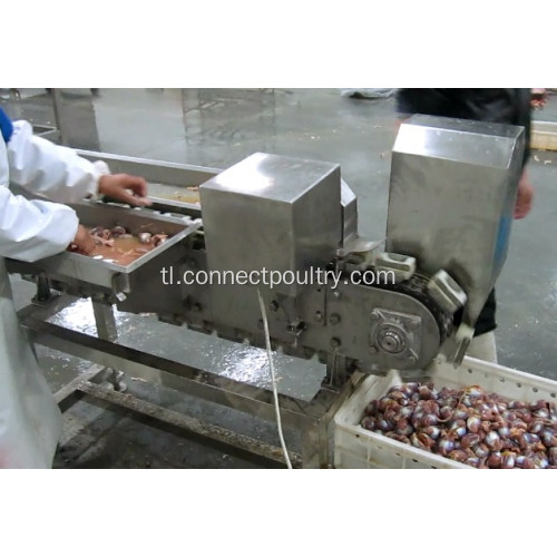 Manok Gizzard Processing Machine